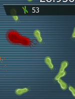 Red bacteria.png